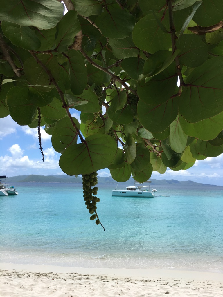 UNADJUSTEDNONRAW_thumb_37d